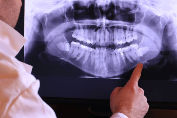 Best Emergency X-Rays and Diagnostics in Tonka Bay, MN